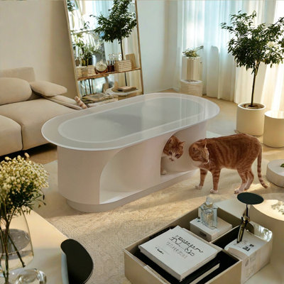 Peekaboo cave coffee table modern and simple