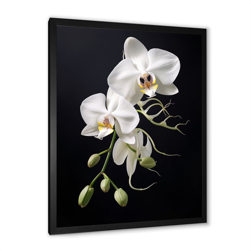 Orchidée délicate noire et blanche - décoration murale orchidée, H 20 po x l 12 po x P 1 po, Cadre simple noir