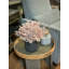 Seeded Eucalyptus Floral Arrangement
