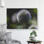 Thistle Flower Vol.4 - Wrapped Canvas-61945677
