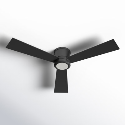 Rodrick Ceiling Fan with LED Lights