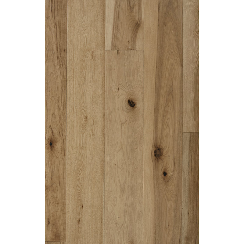 Revêtement de sol en bois franc d’ingénierie 1/2 po x 7 1/2 po de largeur Sahara, Hunter's Hollow