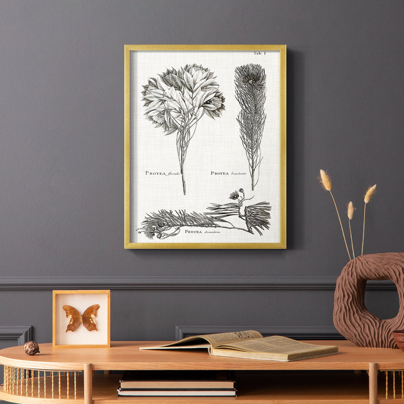 Protea on Linen I noir et blanc, reproduction encadrée - bois massif, H 20 po x l 16 po