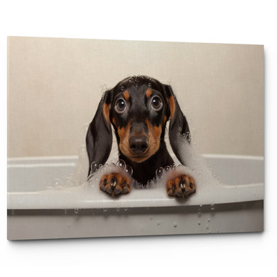 Dachshund Sausage Dog In Bath Canvas - Wrapped Canvas Print