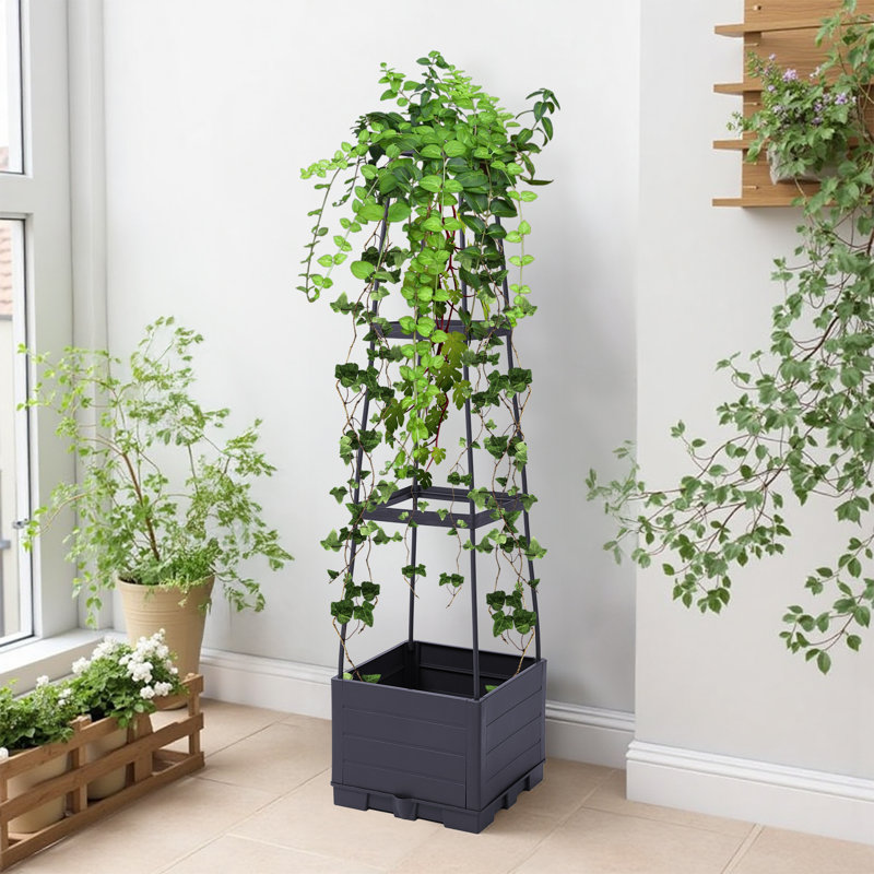 Plant Stand