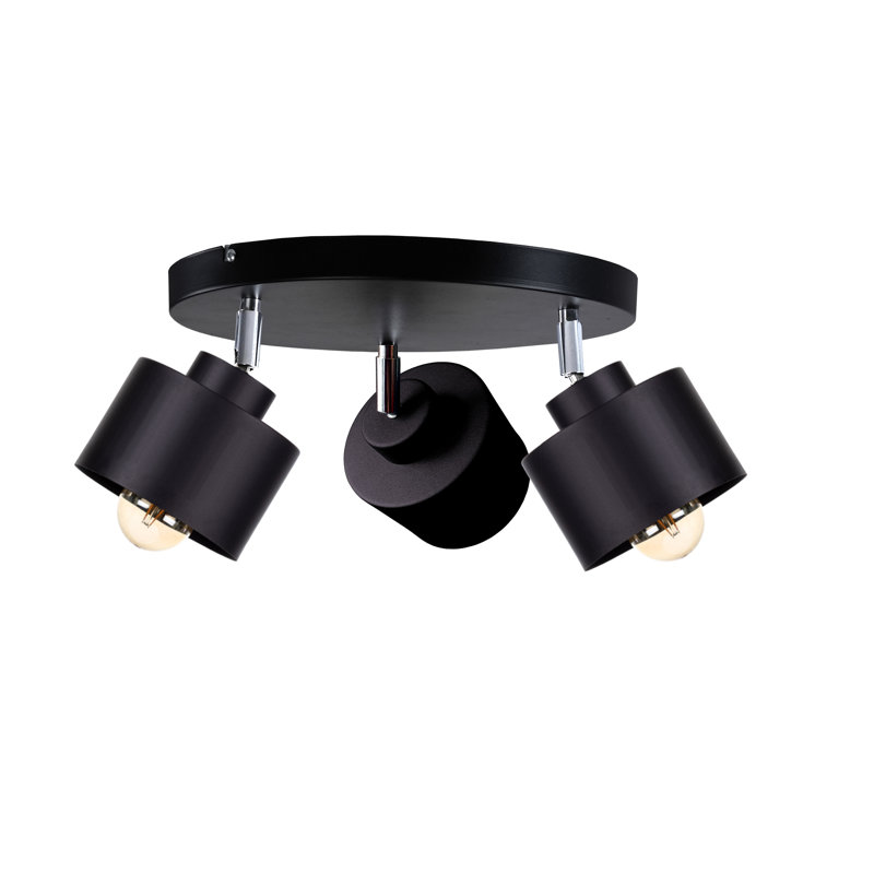 Baymore Ceiling Spotlight, Black, Black