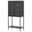 Armoire de rangement avec portes en verre et 2 tablettes réglables-1647157080