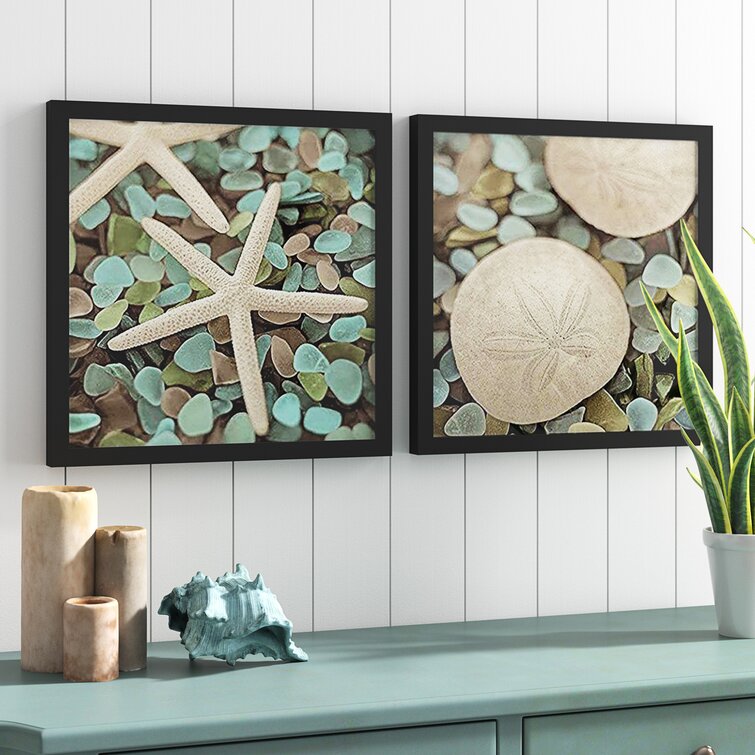 Highland Dunes Aquatic 1 (Seaglass And Starfish) And Aquatic 2 (Seaglass  And Sand Dollar) Wall Decor Coastal Beach Framed On Paper 2 Pieces by Alan  Blaustein Print & Reviews