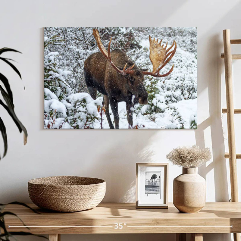 Brampt Moose In Winter, 16" H x 24" W
