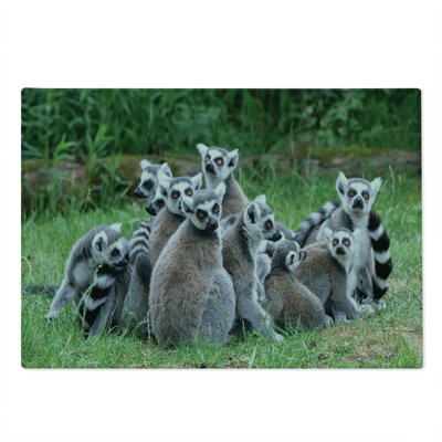 Planche à découper Ambesonne, grand lémurien, queue de singe, mauve pâle, taupe, émeraude