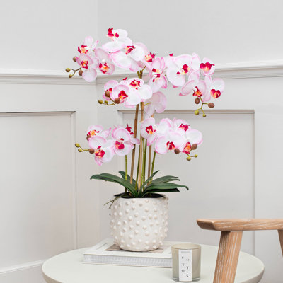 Arrangement