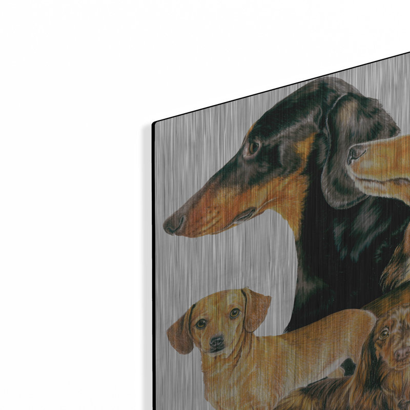 «Dachshund 2» par Barbara Keith, H 12 po x l 12 po