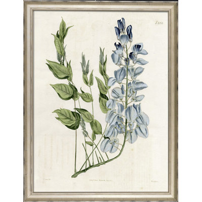 Large Blue Botanical II Print