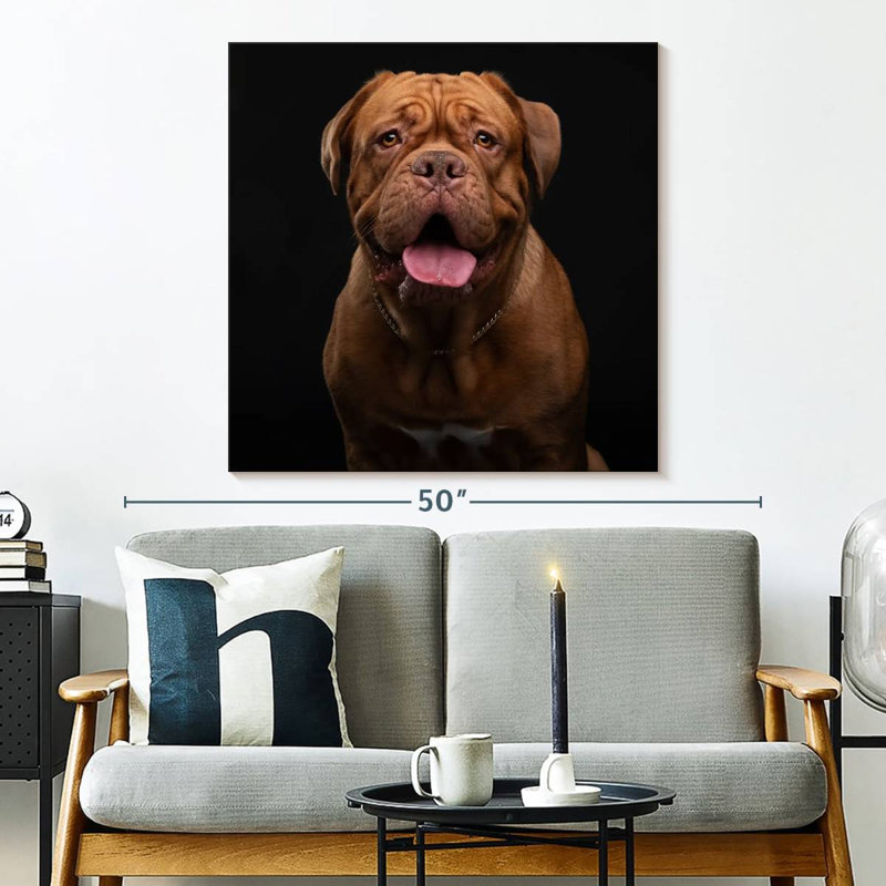 Crowle Bordeaux Mastiff, H 33 po x l 33 po