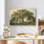 Tableau sur toile représentant un saule pleureur, Décoration murale représentant un saule, Affiche encadrée de style vintage représentant un paysage, Arbres pour le salon-1127920972
