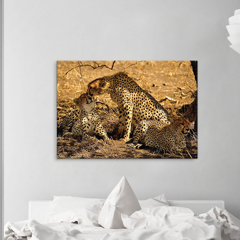 Print on Canvas, 100cm H x 150cm W x 4cm D