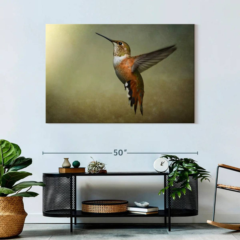Colibri roux Brampt femelle, H 32 po x l 48 po