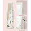 Jamyron Wall Jewelry Armoire