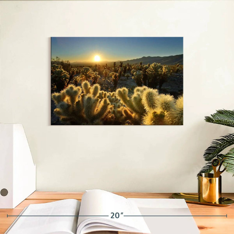 Jardin Harnek Cholla Cactus, H 8 po x l 12 po