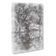 Reflection of the Pink Blossom Trees - Wrapped Canvas Drawing - Wrapped Canvas-56665981