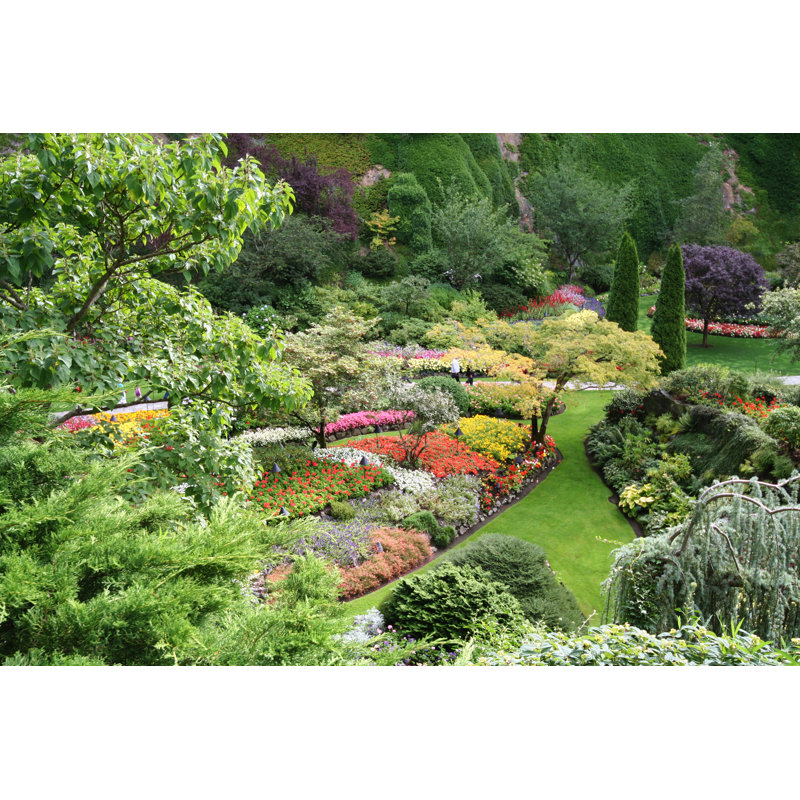 Spectacular Garden during Spring Season, 30cm H x 46cm W