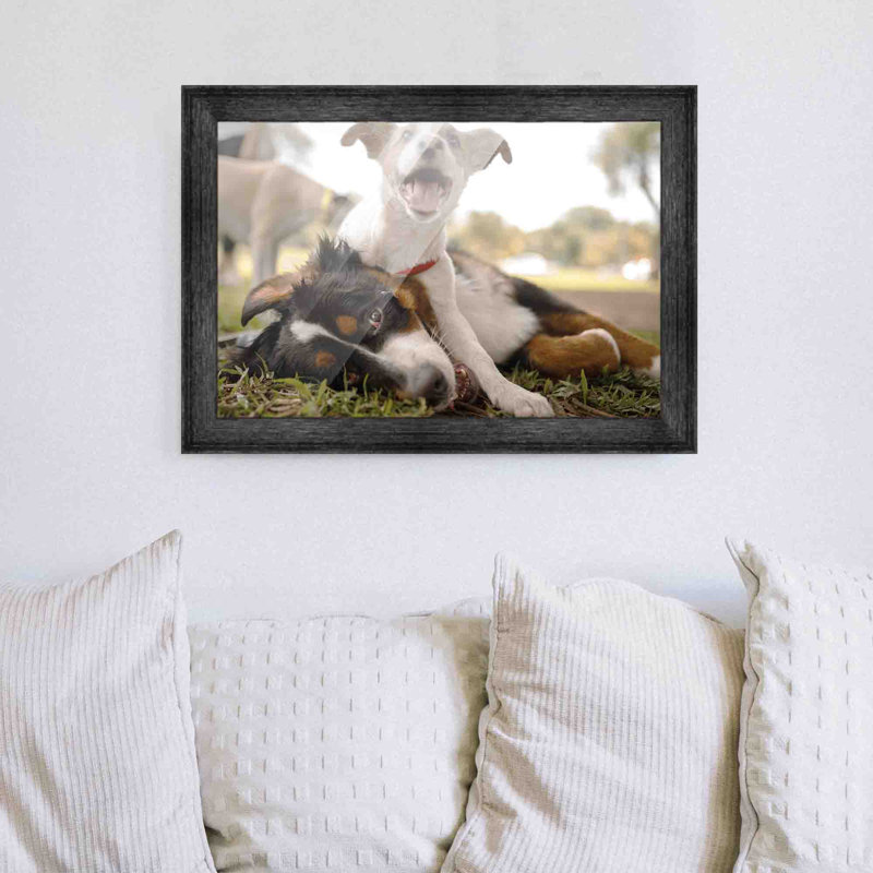 Cadre photo en bois massif Matiza, Noir, 10 po x 17 po