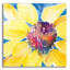 Art mural en verre Winston Porter «Sunny 1» par Kristy riz-1327124446
