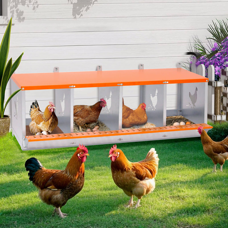 Boîte à nid en métal pour poules