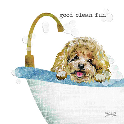 Good Clean Fun 2884587