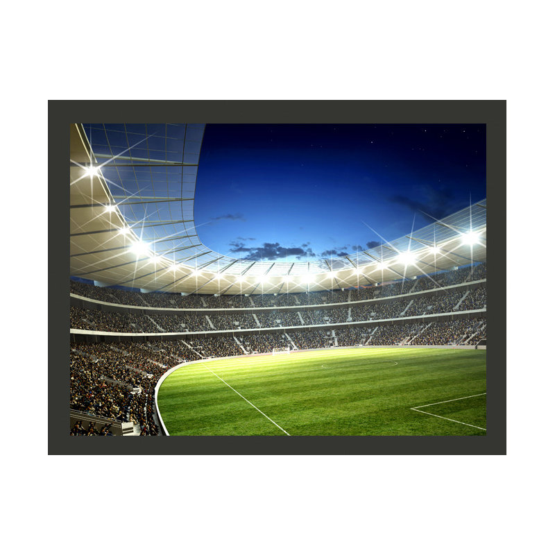 Stadium 231cm x 300cm Wallpaper