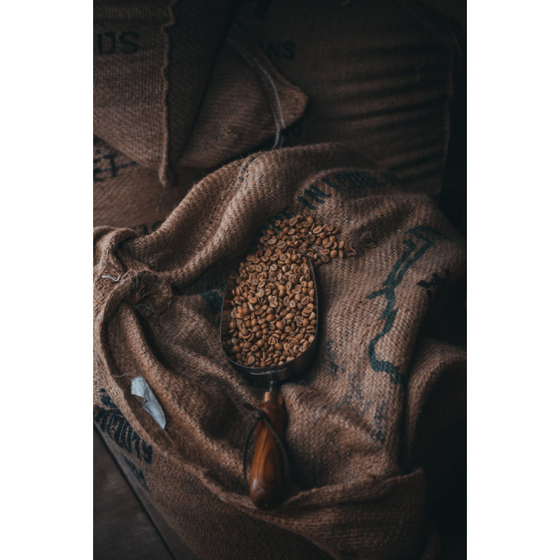 Wrapped Canvas Print, 50.8 cm H x 76.2 cm W