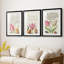 Hoefnagel Tropical Specples III - reproduction sur mesure encadrée de qualité supérieure - 3 pièces-1095233825-1095233827