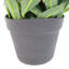 80cm Faux Ficus Plant in Pot Liner