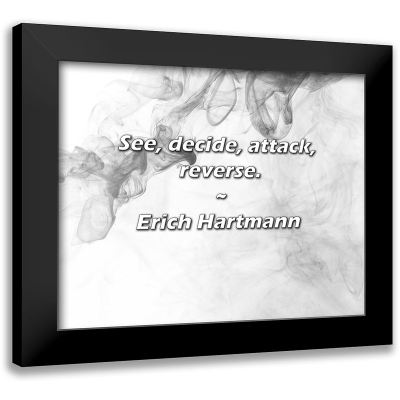 Erich Hartmann Quote: See, decide, attack, reverse.