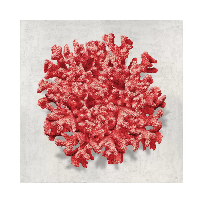 Coral Red II by Caroline Kelly - Wrapped Canvas Print, 93.98 cm H x 93.98 cm W