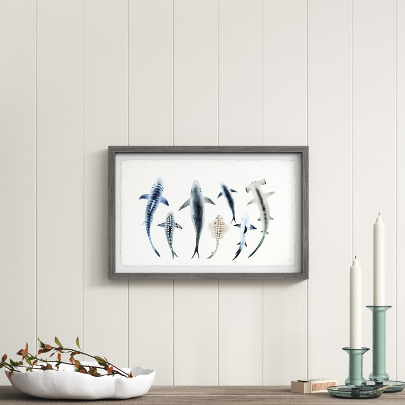 Saugatuck Shark Types II, reproduction encadrée, H 16 po x l 24 po x P 1,5 po