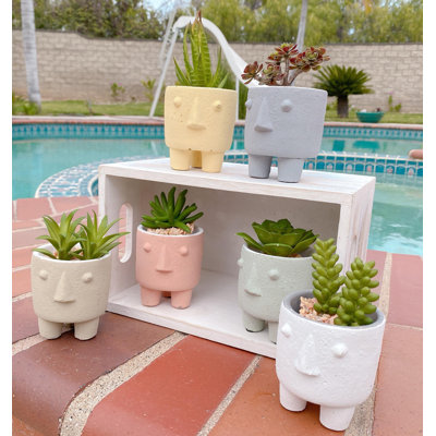 Jardinières en pot