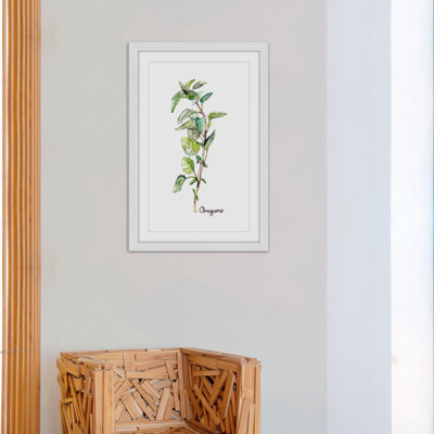 " Herb Oregano " by Rachel Byler