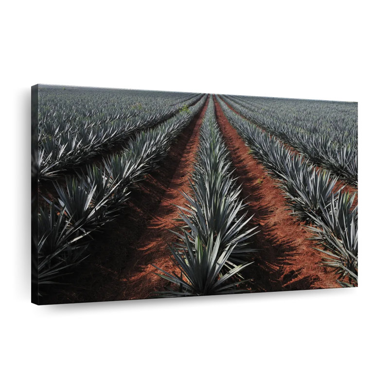 " Agave Field ", 8" H x 12" W x 1" D