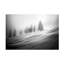 Art sur toile «Ales Krivec»-109222814
