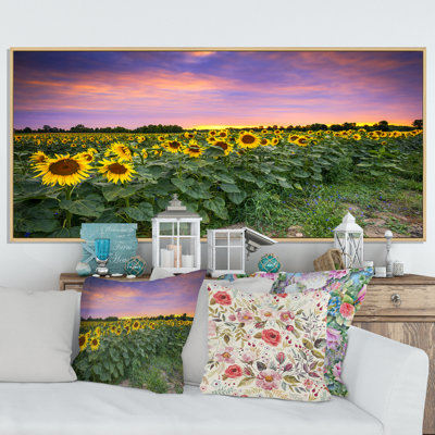 " Sunset Sunflower Field "