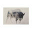 Bison In The Fog by Andreas Lie - Print on Canvas-89232790-69741633