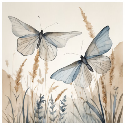 Édredon Butterflies In Nature