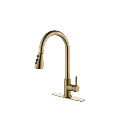 Kitchen Faucet With Pull Out Spraye