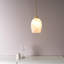 24.5cm H Glass Dome Lamp Shade ( Clip On )-313740371