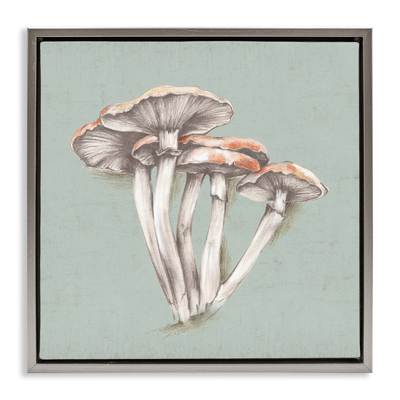 «Mushroom Bundle», art mural encadré sur toile flottante par Eli Jones, H 18 po x l 18 po, Cadre flottant gris lustré
