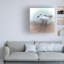 «Sand Piper B» par David Manlove, impression sur toile tendue-671078560