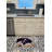 Rayland Memory Foam Non-Slip Bath Rug