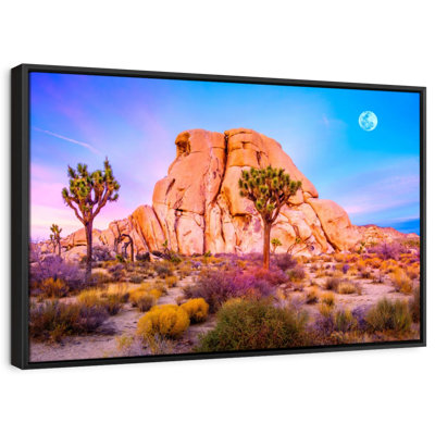 Places "Joshua Tree National Park, art mural"