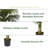 6.5Ft Artificial Golden Cane Palm Tree